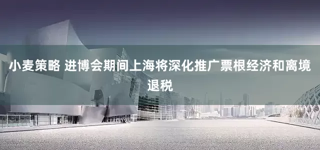 小麦策略 进博会期间上海将深化推广票根经济和离境退税